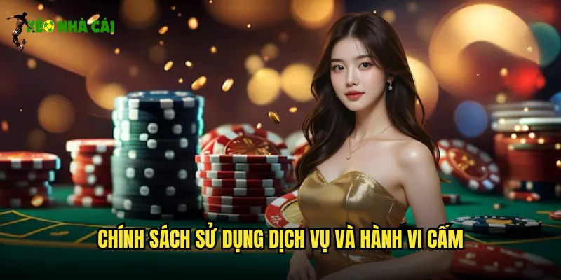 Chính Sách Sử Dụng Dịch Vụ Và Hành Vi Cấm