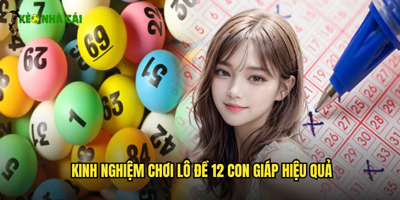 Kinh nghiệm chơi Lô đề 12 con giáp hiệu quả