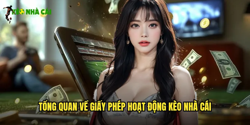 Tổng quan về giấy phép hoạt động kèo nhà cái