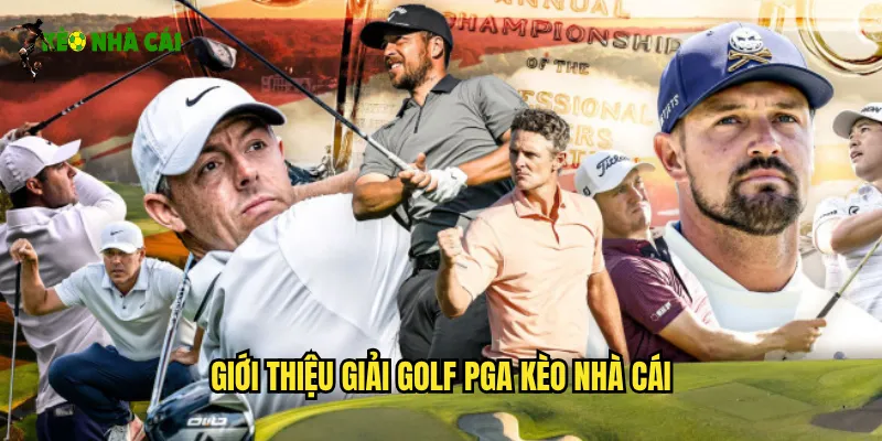 Giới thiệu giải golf PGA kèo nhà cái