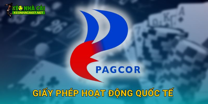Trang chủ 228 Giấy phép hoạt động quốc tế